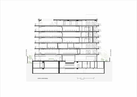 Link School of Business