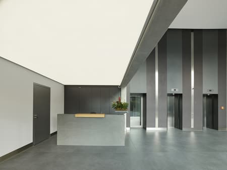 Oasis Residential Tower