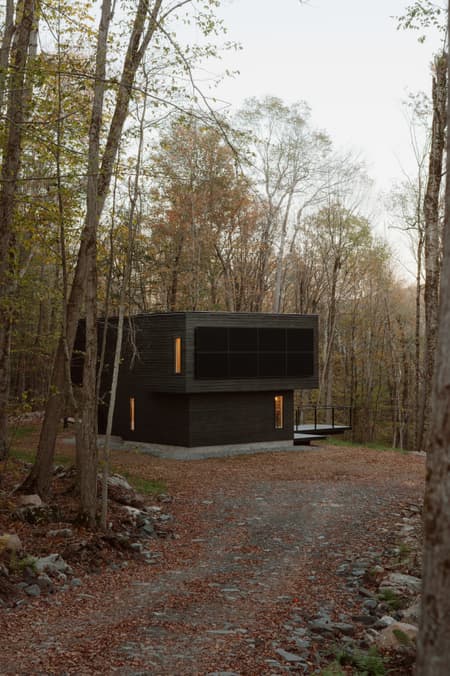 Forest Edge House