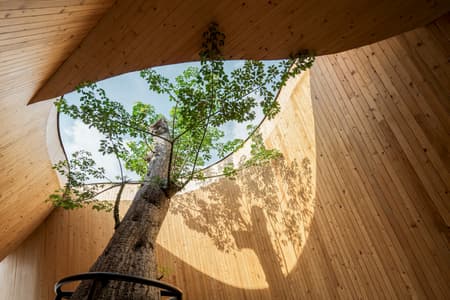 Harudot by Nana Coffee Roasters