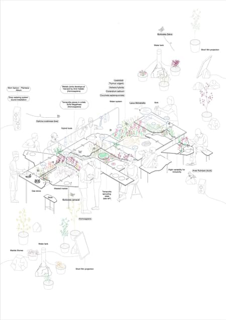 Live Multispecies Kitchen