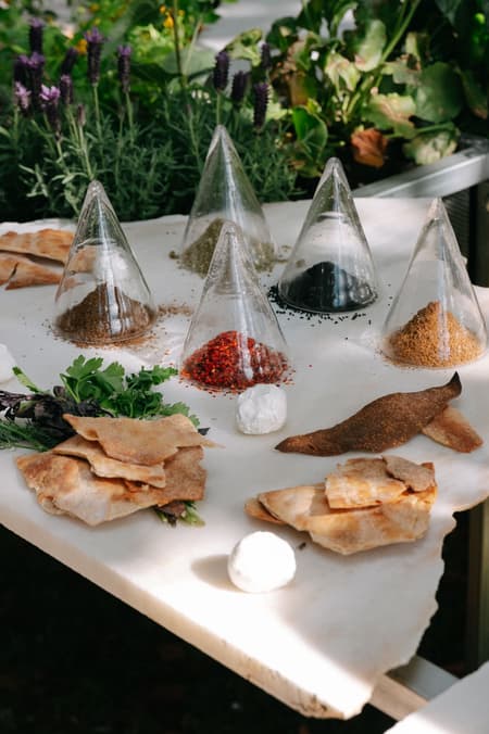 Live Multispecies Kitchen