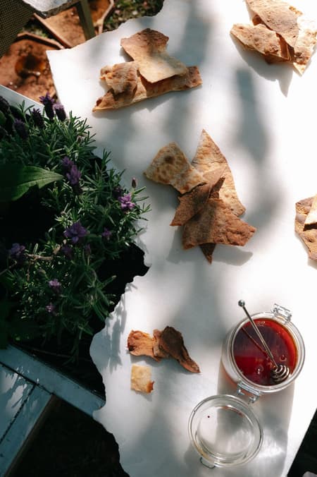 Live Multispecies Kitchen