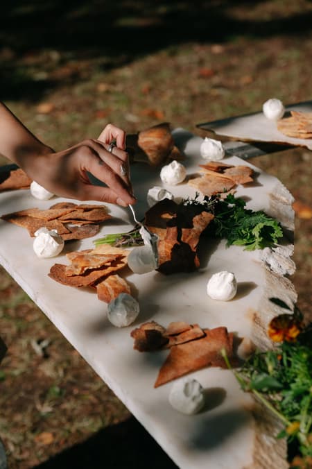 Live Multispecies Kitchen