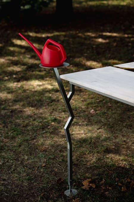 Live Multispecies Kitchen