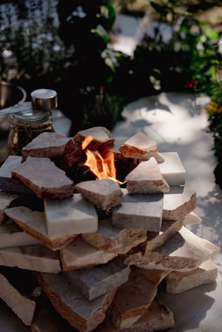 Live Multispecies Kitchen