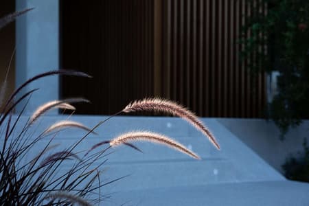 Ilya Botanic Suites
