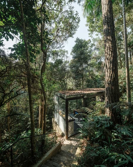Lírio House