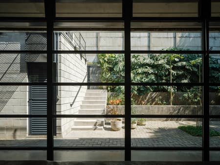 Lírio House