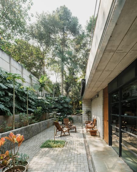 Lírio House