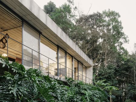 Lírio House