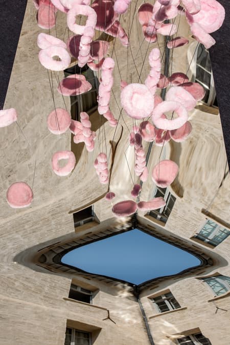 The Tasting Tongue - Art Installation