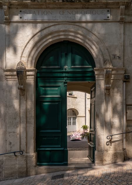The Tasting Tongue - Art Installation