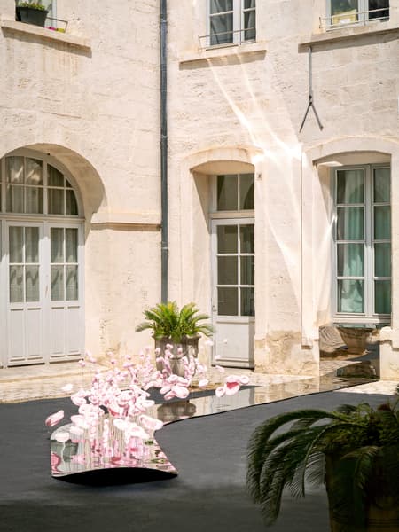 The Tasting Tongue - Art Installation