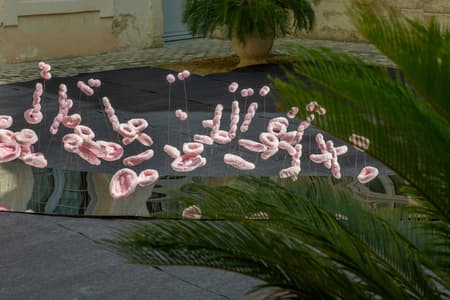 The Tasting Tongue - Art Installation