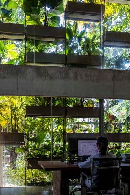 Urban Farming Office