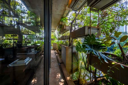 Urban Farming Office