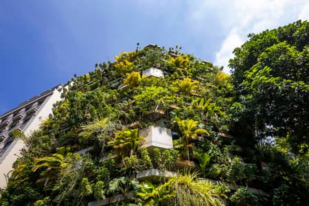 Urban Farming Office