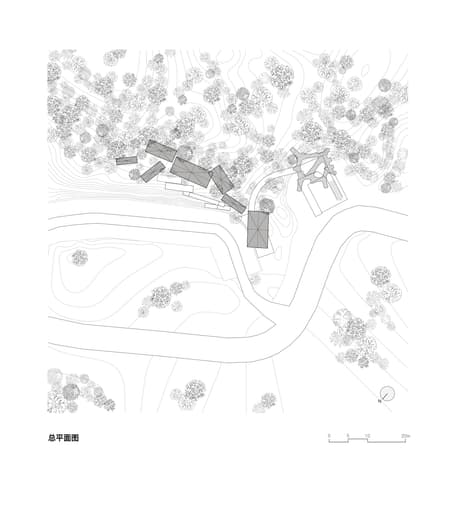 Floating Canopy Grove