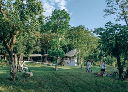 Floating Canopy Grove