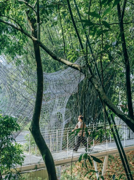 Floating Canopy Grove