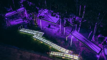 Floating Canopy Grove