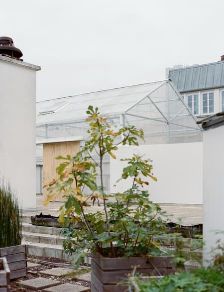An Educational Farm on the Roof