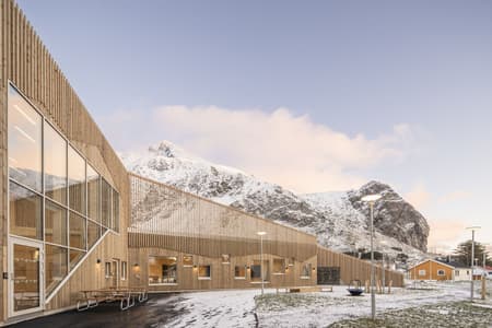 Flakstad School