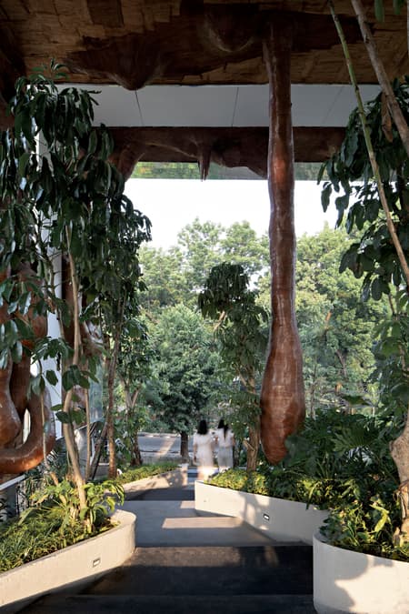 Tanatap Frame Garden