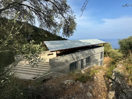 House in an Olive Grove