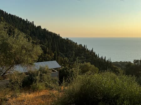 House in an Olive Grove