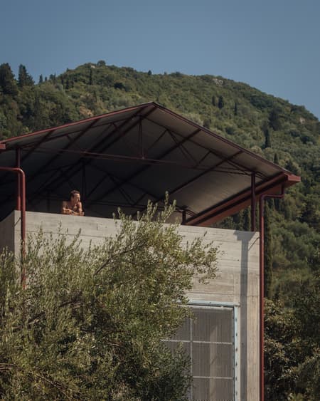 House in an Olive Grove