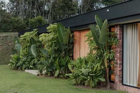 Dawn Enclosure