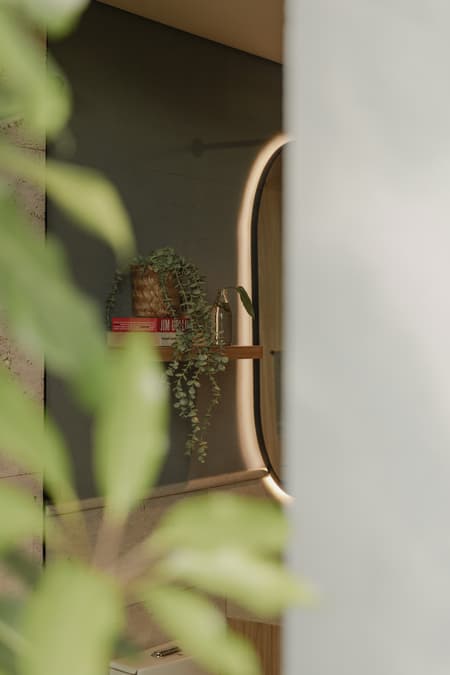 Dawn Enclosure