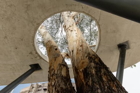 Scenic Garden, Bosque de Chapultepec