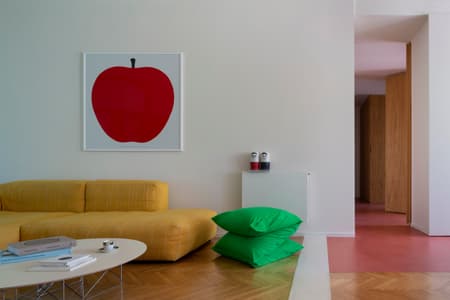 STZ apartment