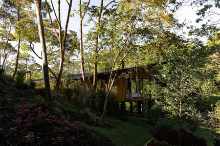 Hoguera de Madera Refuge