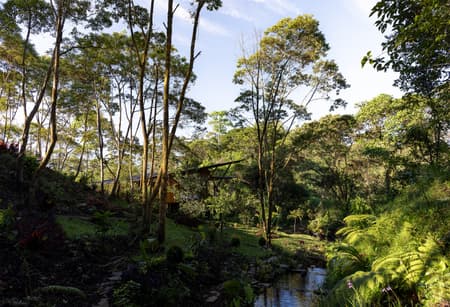 Hoguera de Madera Refuge