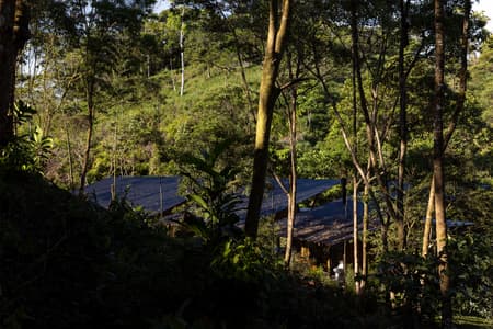 Hoguera de Madera Refuge
