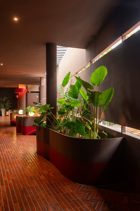 Lattice Creative Garden