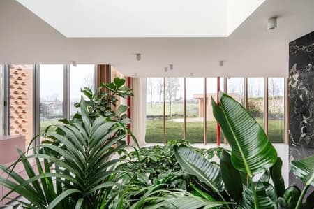 Patio House