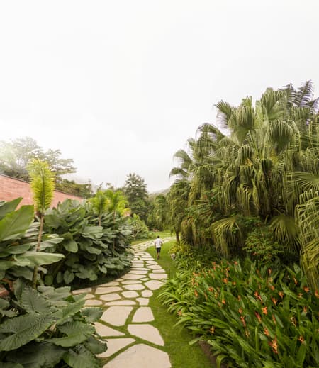House Laranjeiras