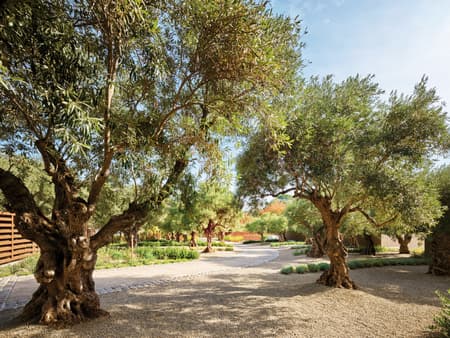 California Meadow House