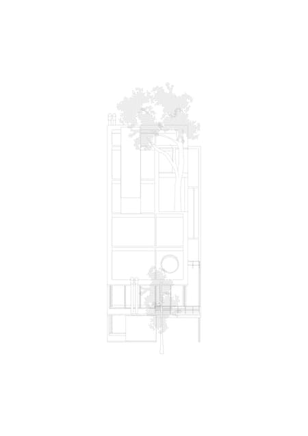 Eucalyptus House