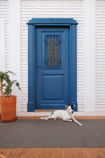 The Blue Door House