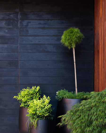 Tinderbox House