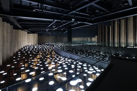 Osaka Expo 2025 Japan Pavilion