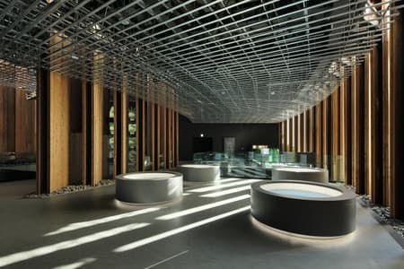 Osaka Expo 2025 Japan Pavilion