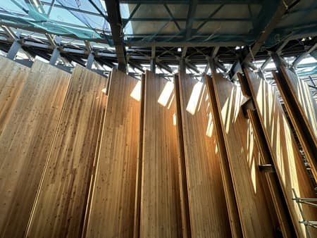 Osaka Expo 2025 Japan Pavilion