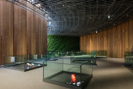 Osaka Expo 2025 Japan Pavilion